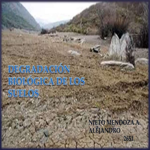 Degradación biológica del suelo