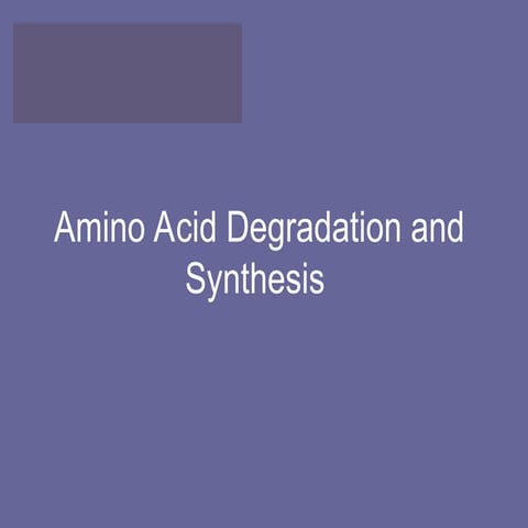 DEGRADATION OF AMINO ACID and synthesis.ppt