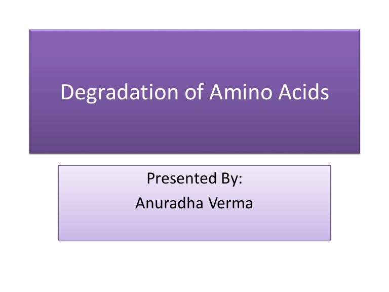 Degradation of amino acids