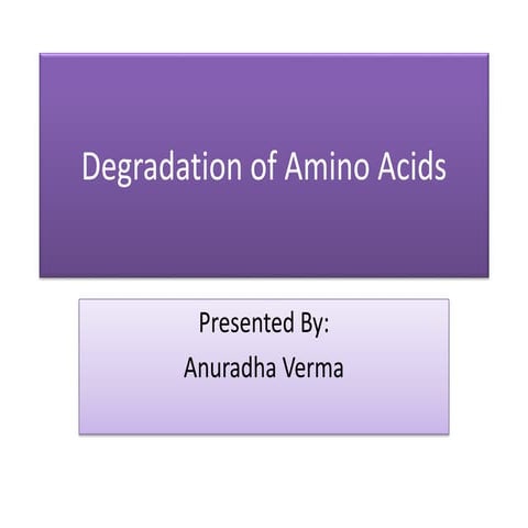 Degradation of amino acids