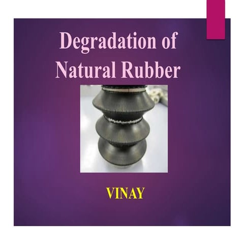 Degradation of natural rubber