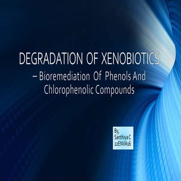 degradation of phenols and chlorophenols