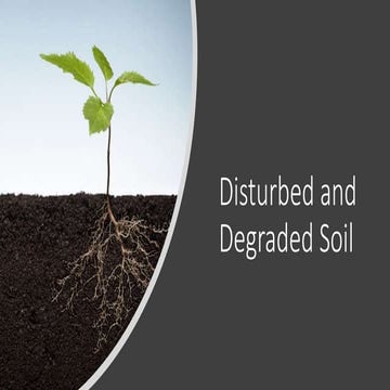Degraded Soil Images.pptx