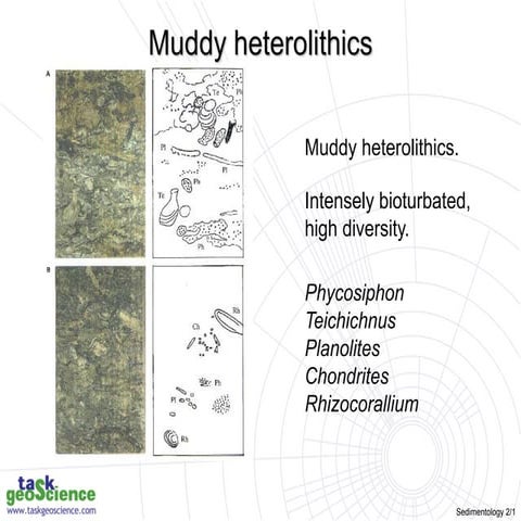 Degree of bioturbation.ppt