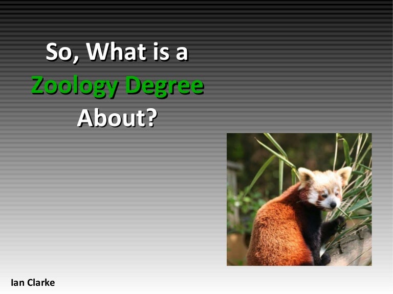 So, What is a Zoology Degree About?