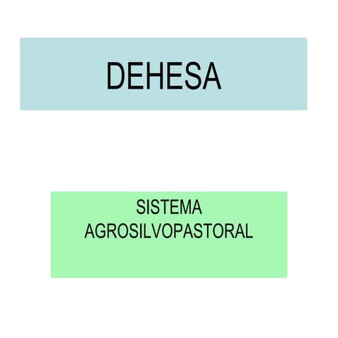 Dehesa