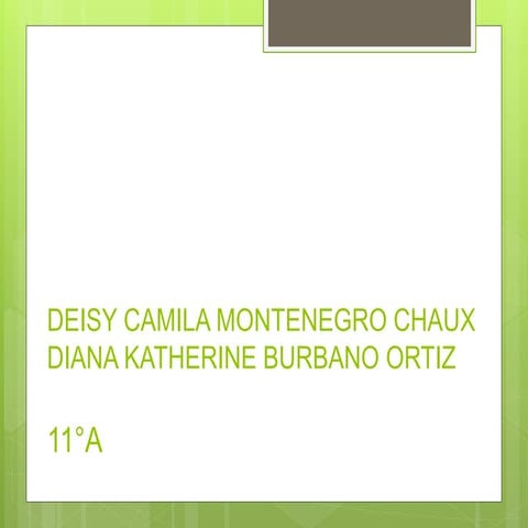 Deisy camila montenegro chaux