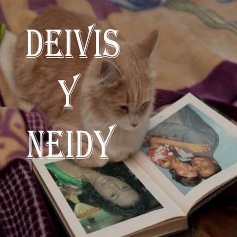 Deivis y neidys