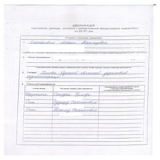 Декларация Михаила Саакашвили