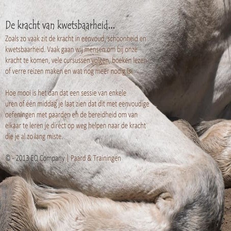 De kracht van kwetsbaarheid. | PDF