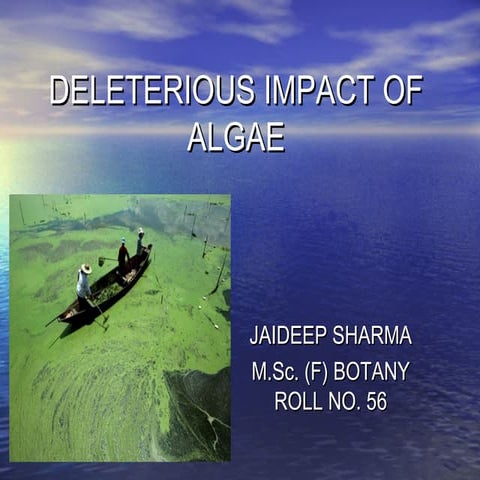 Deleterious impect of algae