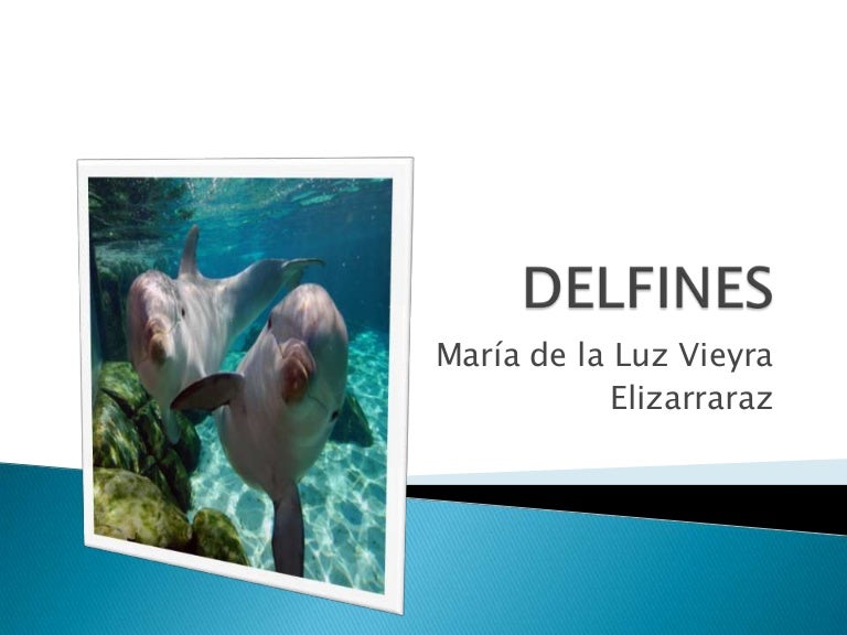 Delfines