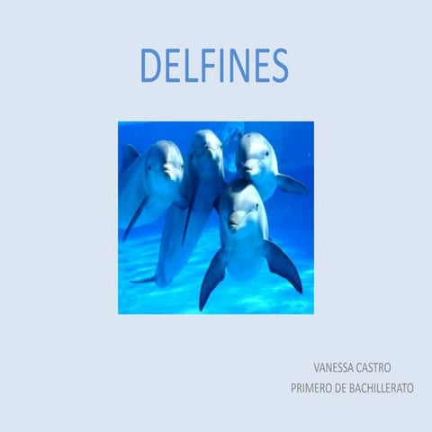 Delfines