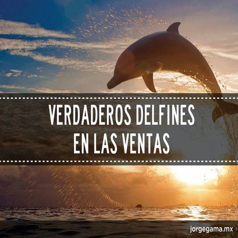 VERDADEROS DELFINES EN LAS VENTAS