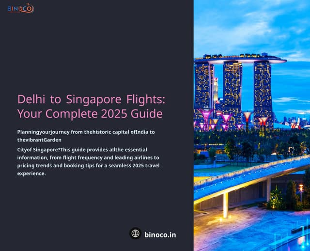 Delhi to Singapore Flights Your Complete 2025 Guide