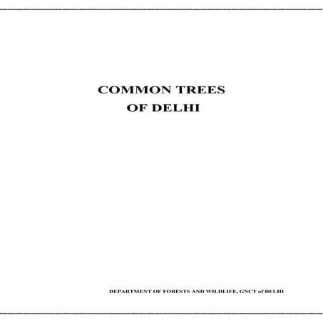 Delhi Trees Information