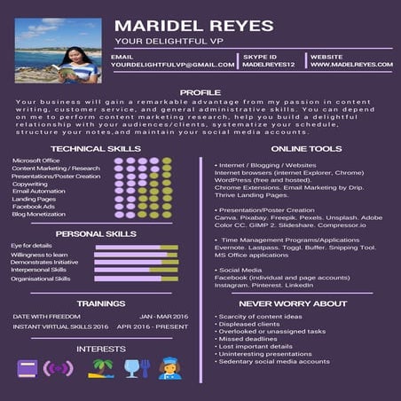 Delightful VP's Resume | PDF