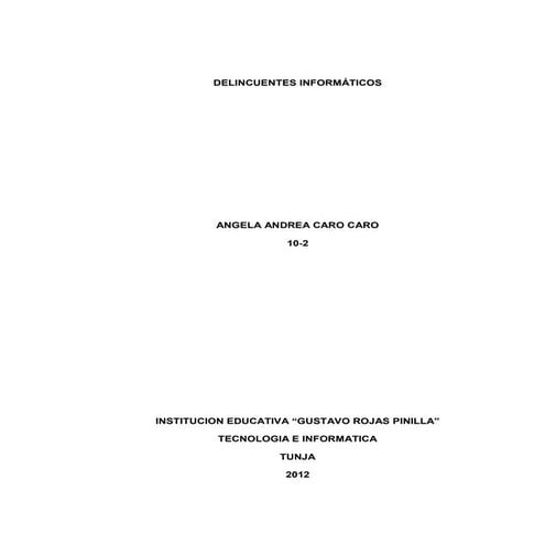 Delincuentes informáticos