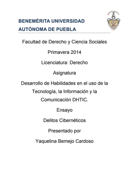 Delito cibernético