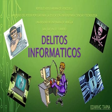 Delitos informaticos