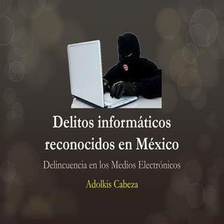 Delitos informaticos-adolkis cabeza