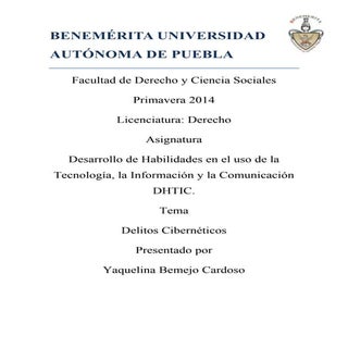 Delitos cibernéticos