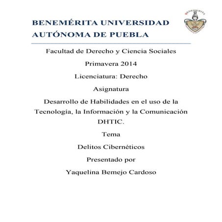 Delitos cibernéticos