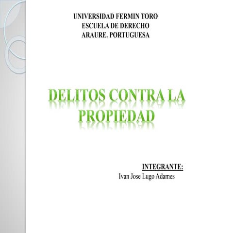 Delitos contra la propiedad