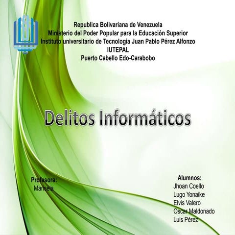 Delitos informaticos