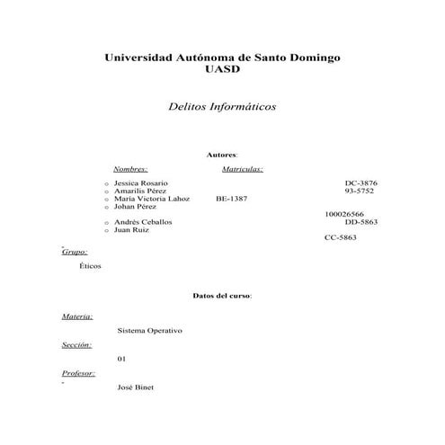 Delitos informaticos