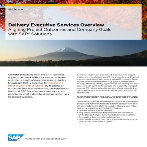 Delivery Executive Services Overview   Final