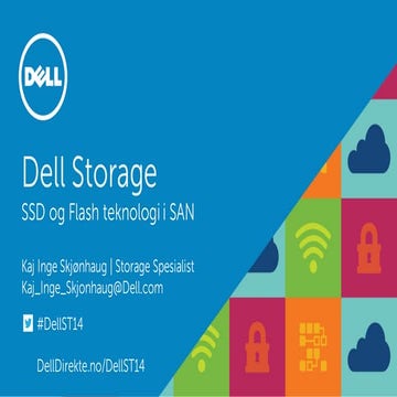 Dell SSD og Flash teknologi i SAN
