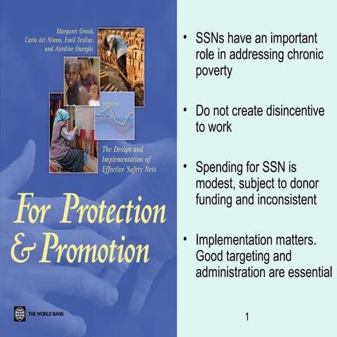 For Protection and Promotion: The Design and Implementation of Effective Safe...