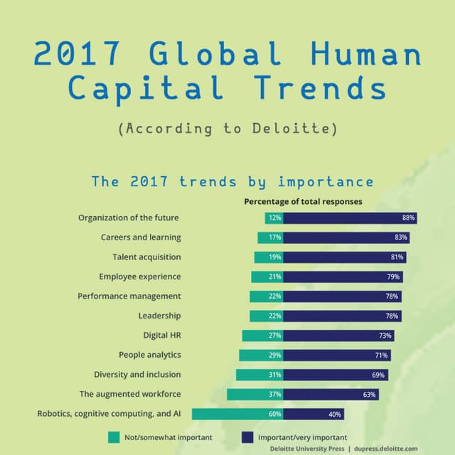 2017 Global Human Capital Trends Infographic by ibbds