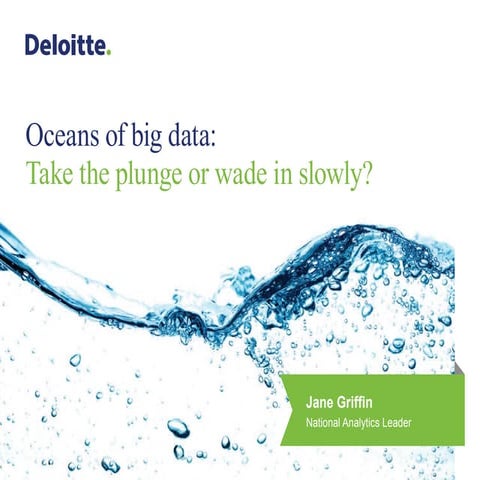 Oceans of big data: Take the plunge or wade in slowly?