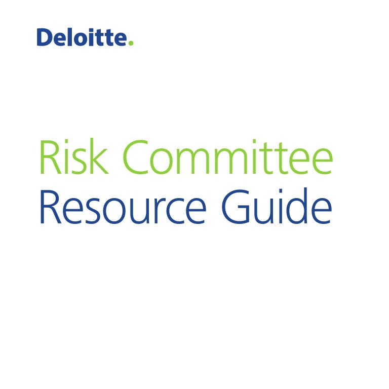 Deloitte risk committee guidance