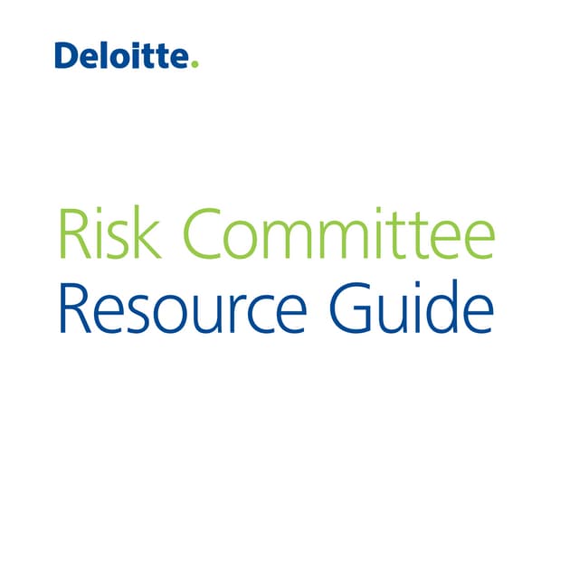 Deloitte risk committee guidance