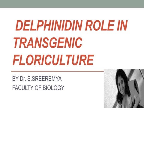 Delphinidin role in transgenic floriculture