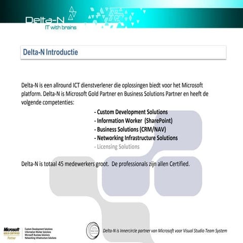 Delta N Company Profile