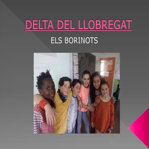 Delta del llobregat BORINOTS