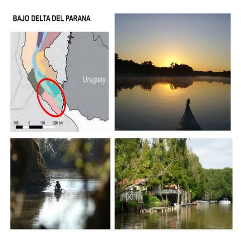 Delta del paraná