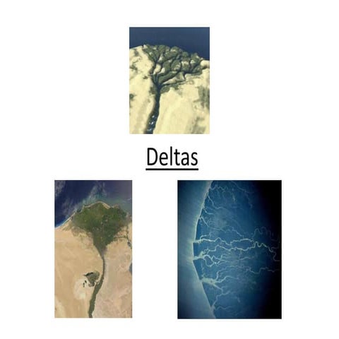 Deltas- types, formation, case studies