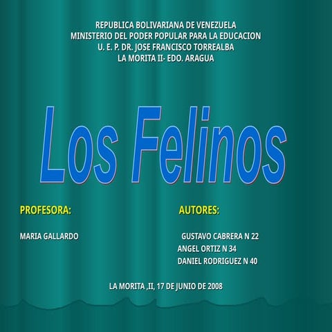 del tigre al gato, felinos del mundo, descripcion completa