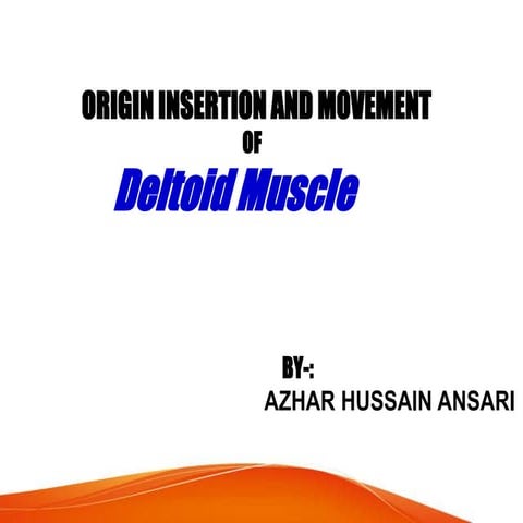 Deltoid muscle, origin insertion and movement