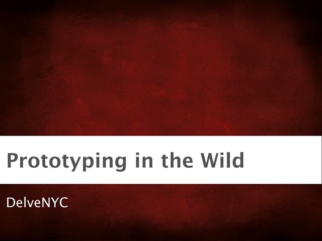 Delve Prototyping In The Wild