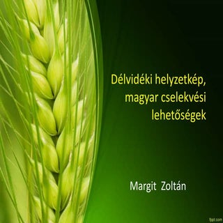 Délvidéki helyzetkép, magyar cselek...