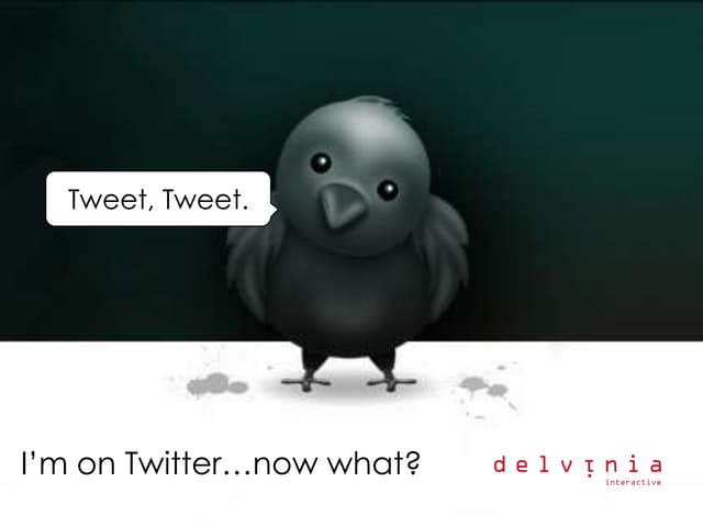 Delvinia Twitter Presentation 2009