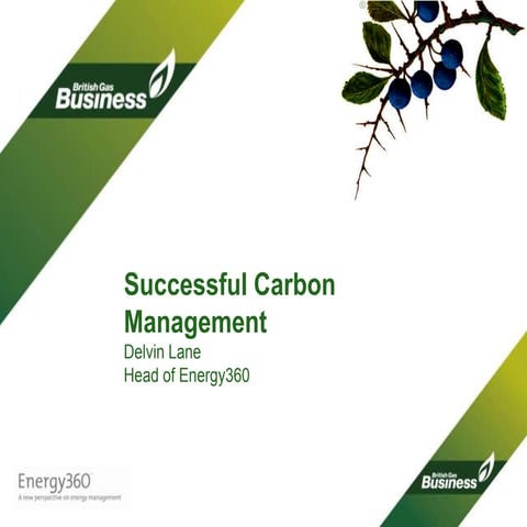 The Carbon Conversation, February 2010: Energy360, British Gas