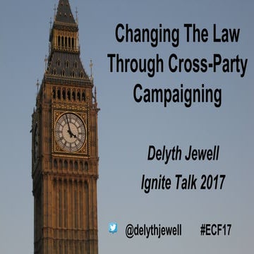 Changing the law through cross-party campaigning – an insider view - Delyth J...