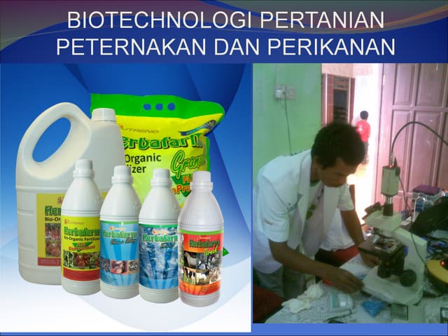 TANI MANDIRI DEMAK
